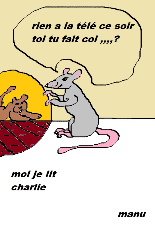 charlie.le rat