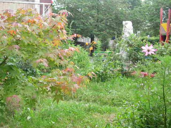 sur temp scolaire jardin chinois