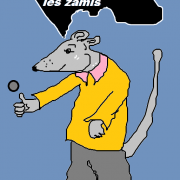 le rat.2